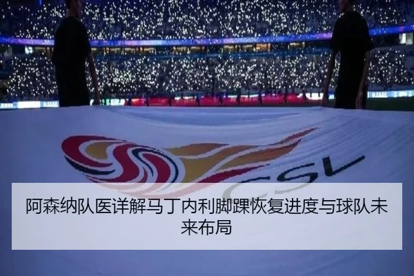 阿森纳队医详解马丁内利脚踝恢复进度与球队未来布局